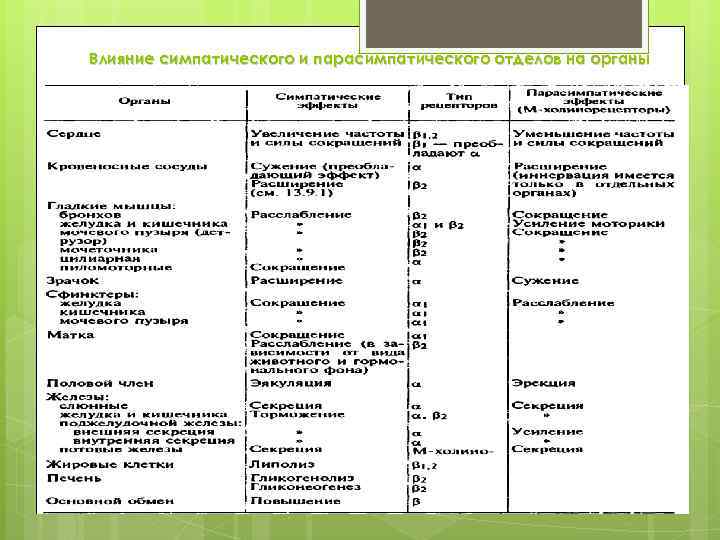 Влияние симпатического и парасимпатического отделов на органы 