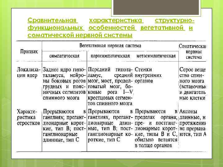 Сравнительная характеристика структурнофункциональных особенностей вегетативной и соматической нервной системы 