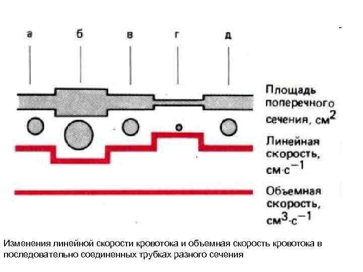 Изменения линейной скорости кровотока и объемная скорость кровотока в последовательно соединенных трубках разного сечения