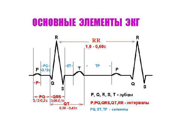 ОСНОВНЫЕ ЭЛЕМЕНТЫ ЭКГ RR 