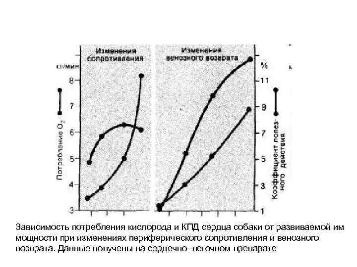 Зависимость потребления кислорода и КПД сердца собаки от развиваемой им мощности при изменениях периферического