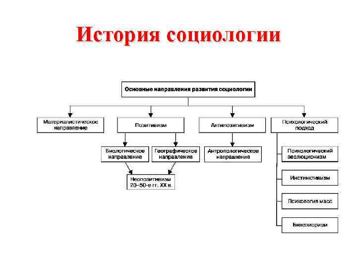 История социологии 