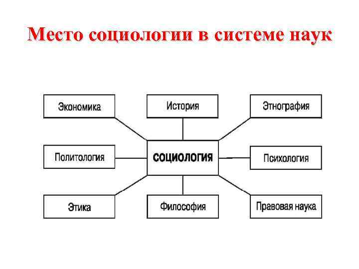 Место социологии в системе наук 