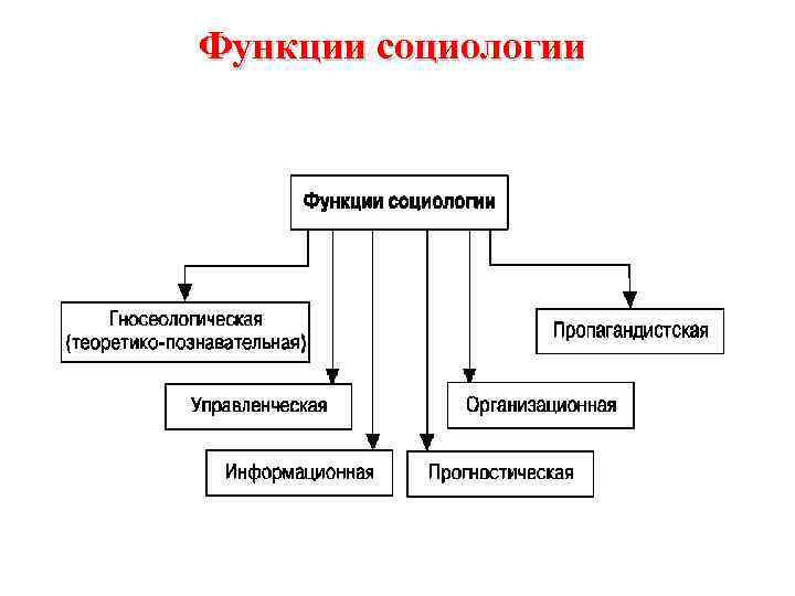 Функции социологии 