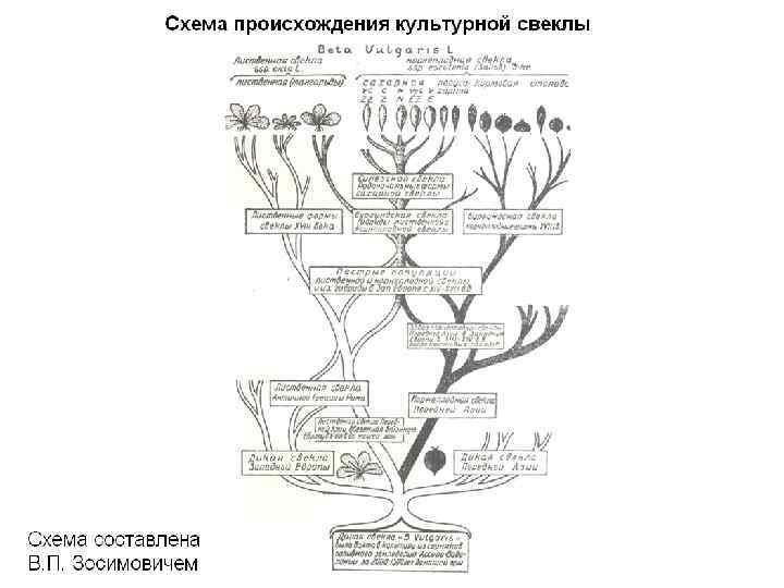 Выберите ошибочную схему взаимосвязей