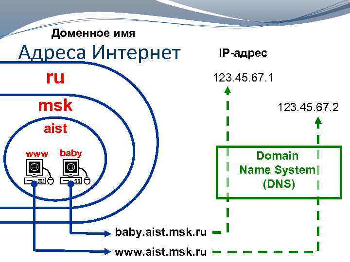 Доменное имя Адреса Интернет ru IP-адрес 123. 45. 67. 1 msk 123. 45. 67.