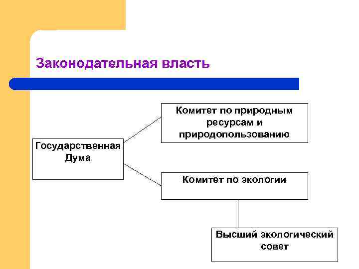 Законодательная власть Комитет по природным ресурсам и природопользованию Государственная Дума Комитет по экологии Высший