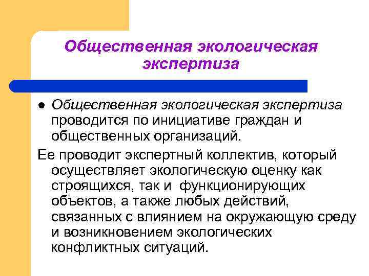 Общественная экологическая экспертиза проводится по инициативе граждан и общественных организаций. Ее проводит экспертный коллектив,