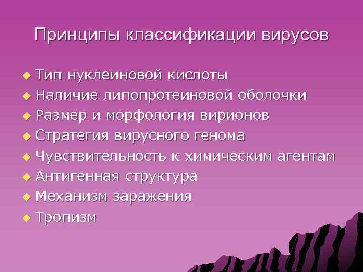 Принципы классификации вирусов Тип нуклеиновой кислоты u Наличие липопротеиновой оболочки u Размер и морфология