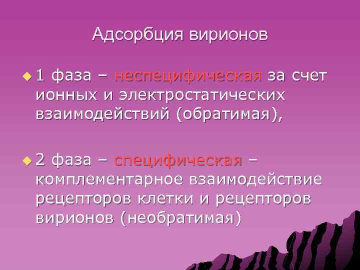 Адсорбция вирионов u 1 фаза – неспецифическая за счет ионных и электростатических взаимодействий (обратимая),