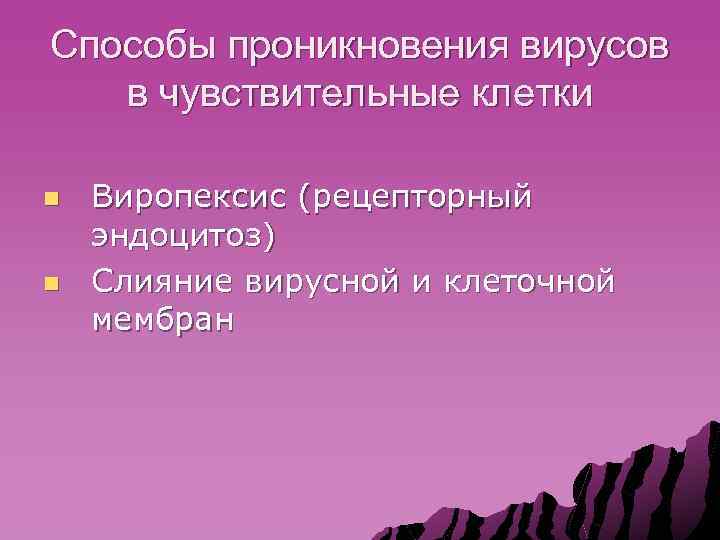 Способы проникновения вирусов в чувствительные клетки n n Виропексис (рецепторный эндоцитоз) Слияние вирусной и