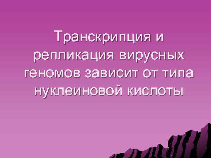 Транскрипция и репликация вирусных геномов зависит от типа нуклеиновой кислоты 