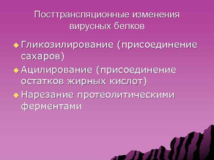 Посттрансляционные изменения вирусных белков u Гликозилирование (присоединение сахаров) u Ацилирование (присоединение остатков жирных кислот)