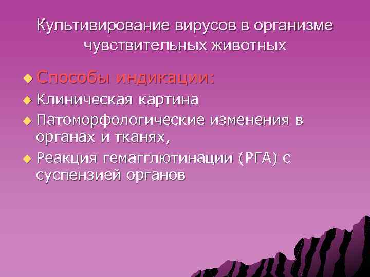 Культивирование вирусов в организме чувствительных животных u Способы индикации: Клиническая картина u Патоморфологические изменения