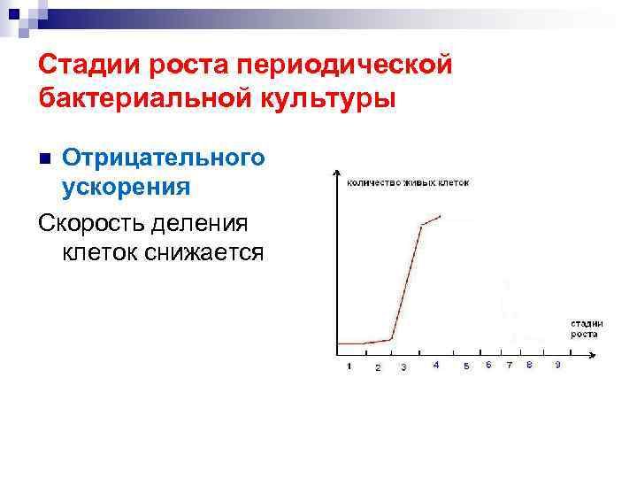 Стадии роста периодической бактериальной культуры Отрицательного ускорения Скорость деления клеток снижается n 