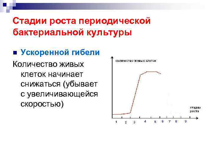 Стадии роста периодической бактериальной культуры Ускоренной гибели Количество живых клеток начинает снижаться (убывает с