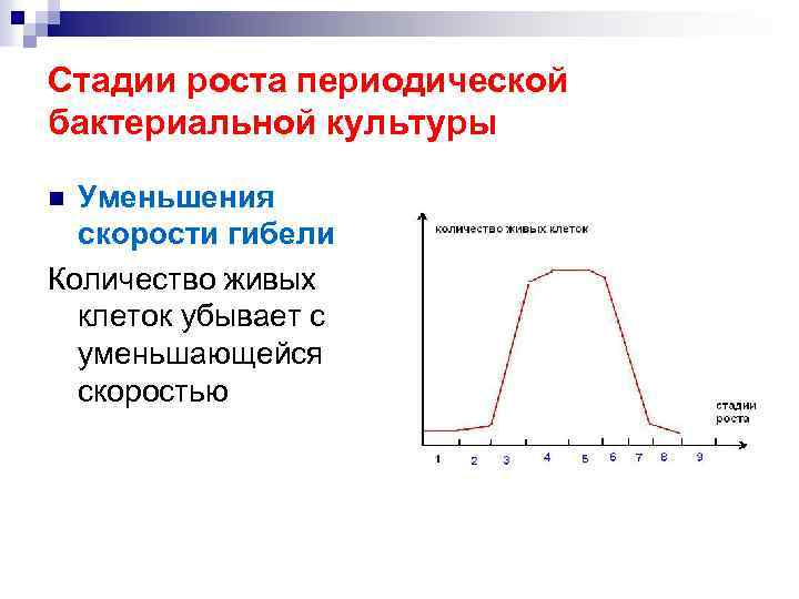 Стадии роста периодической бактериальной культуры Уменьшения скорости гибели Количество живых клеток убывает с уменьшающейся