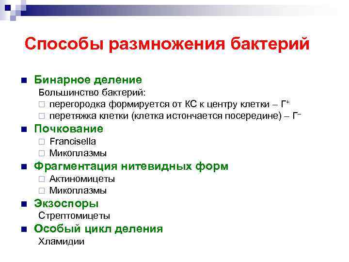 Способы размножения бактерий n Бинарное деление Большинство бактерий: ¨ перегородка формируется от КС к