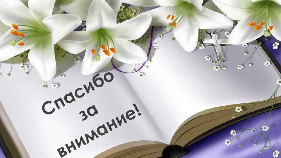 о б и с а п а ! С з е и н а