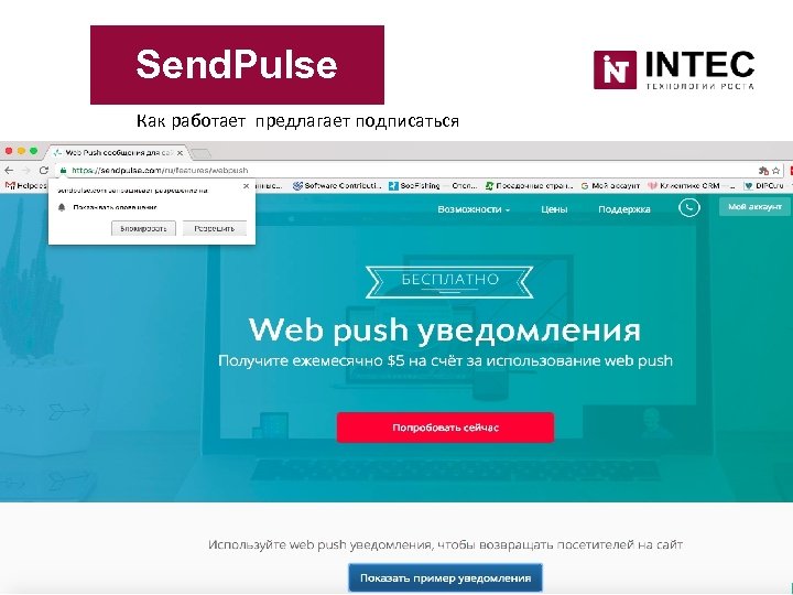Send. Pulse Как работает предлагает подписаться 