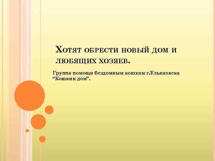 ХОТЯТ ОБРЕСТИ НОВЫЙ ДОМ И ЛЮБЯЩИХ ХОЗЯЕВ. Группа помощи бездомным кошкам г. Ульяновска “Кошкин