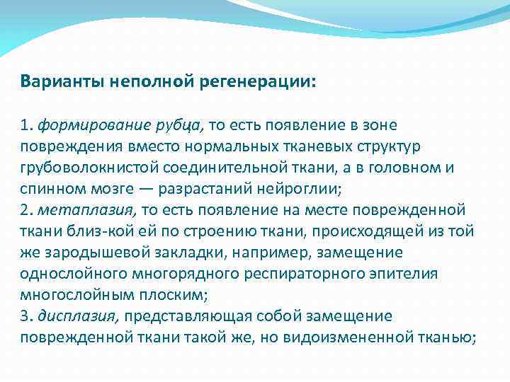 Варианты неполной регенерации: 1. формирование рубца, то есть появление в зоне повреждения вместо нормальных