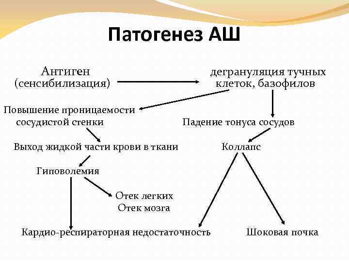 Схема патогенеза анафилактического шока