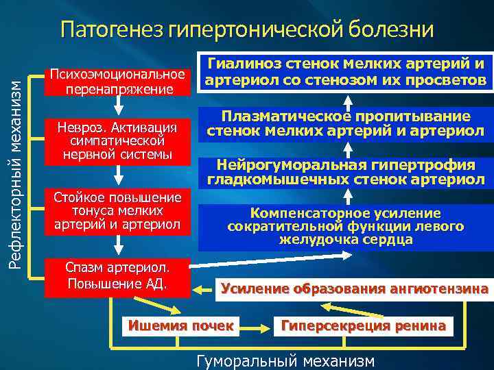 Патогенез гипертонической болезни схема