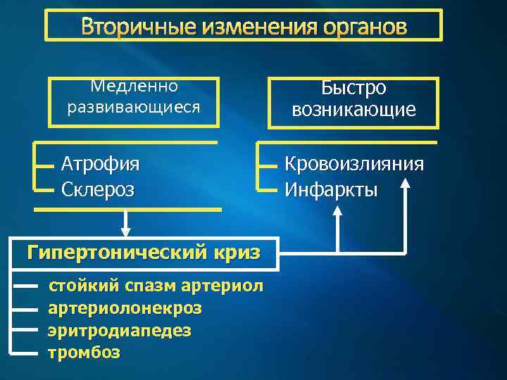 Вторичные изменения органов Медленно развивающиеся Атрофия Склероз Гипертонический криз стойкий спазм артериолонекроз эритродиапедез тромбоз