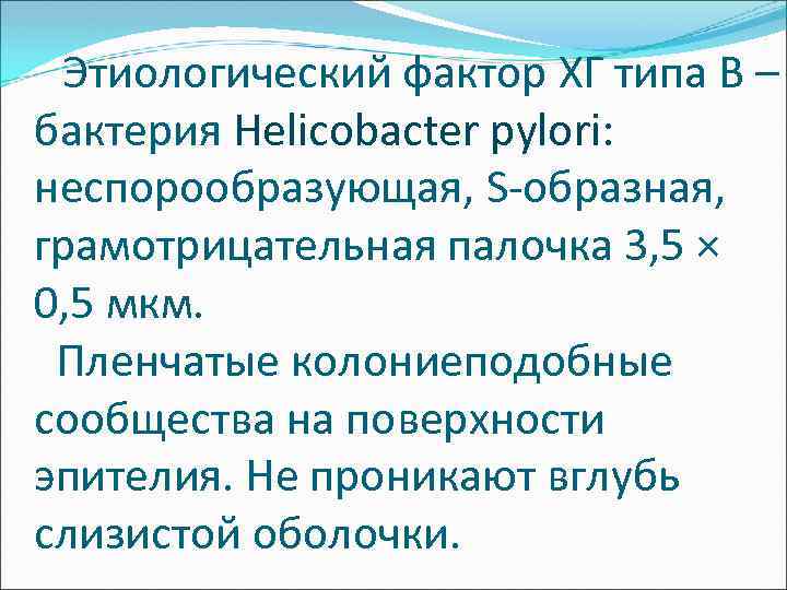  Этиологический фактор ХГ типа B – бактерия Нelicobacter pylori: неспорообразующая, S-образная, грамотрицательная палочка