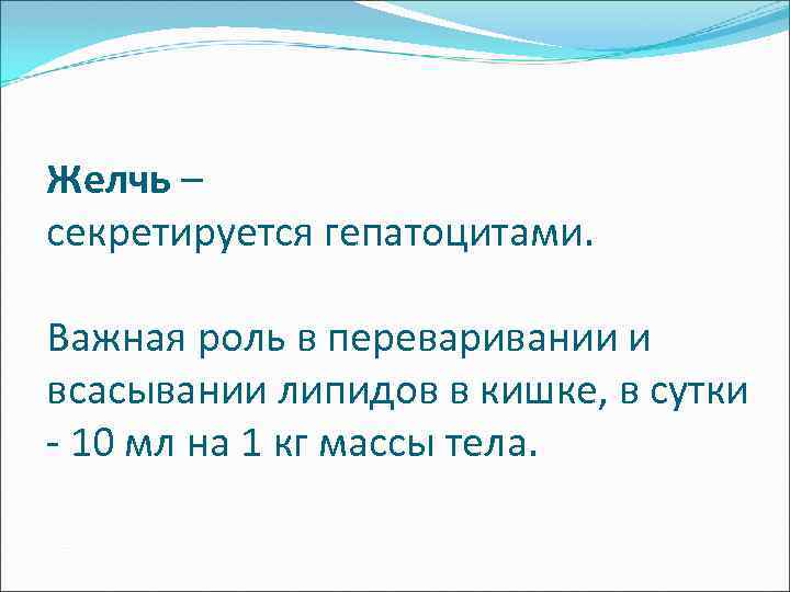 Желчь – секретируется гепатоцитами. Важная роль в переваривании и всасывании липидов в кишке, в