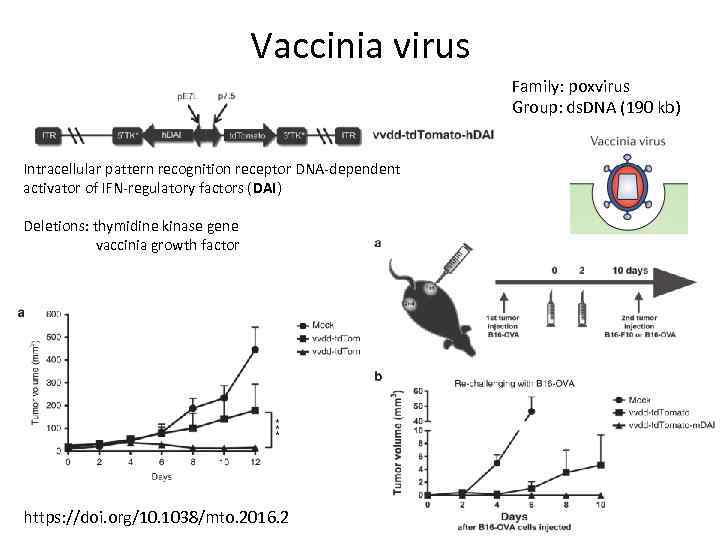 Vaccinia virus Family: poxvirus Group: ds. DNA (190 kb) Intracellular pattern recognition receptor DNA-dependent