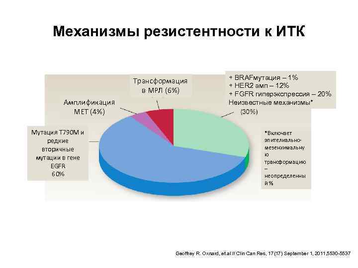 Механизмы резистентности к ИТК Трансформация в МРЛ (6%) Амплификация МЕТ (4%) Мутация Т 790