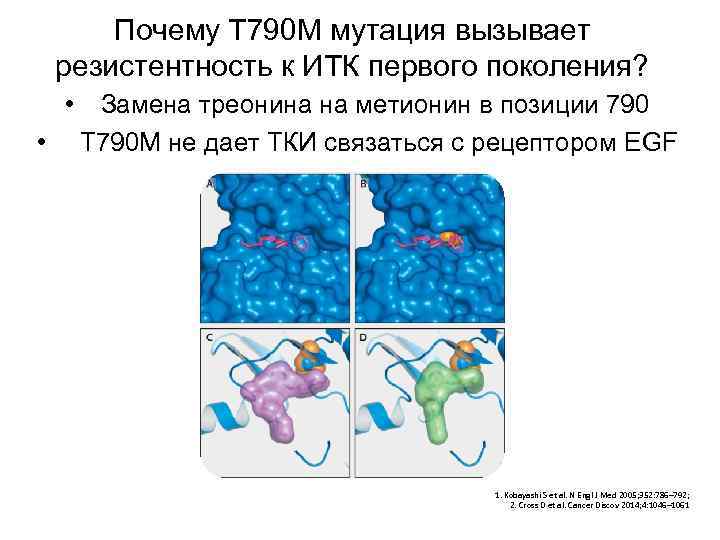 Почему Т 790 М мутация вызывает резистентность к ИТК первого поколения? • • Замена