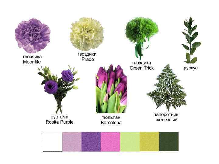 Сочетание цветов в фотографии таблица