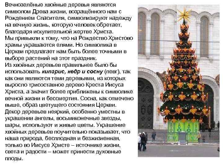 Вечнозелёные хвойные деревья являются символом Древа жизни, возращённого нам с Рождением Спасителя, символизируют надежду