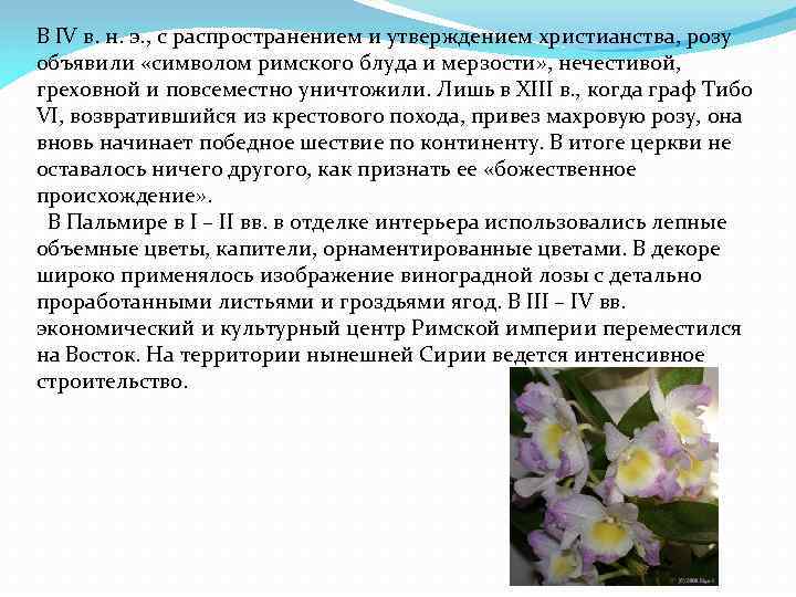 В IV в. н. э. , с распространением и утверждением христианства, розу объявили «символом