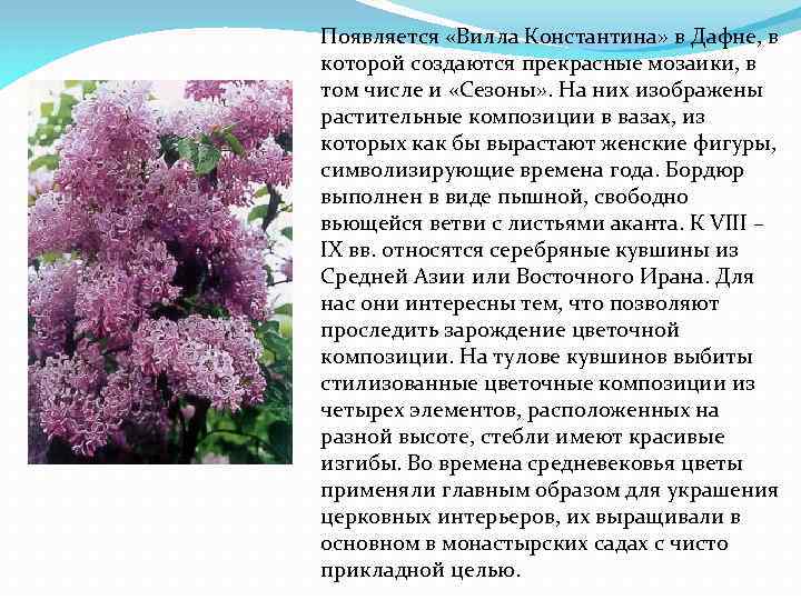 Появляется «Вилла Константина» в Дафне, в которой создаются прекрасные мозаики, в том числе и