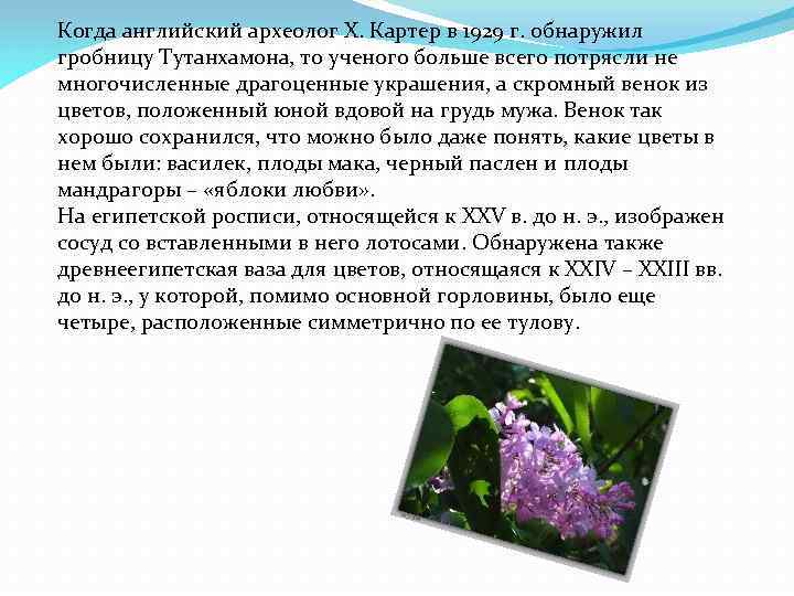 Когда английский археолог X. Картер в 1929 г. обнаружил гробницу Тутанхамона, то ученого больше