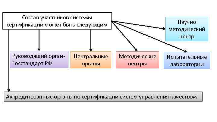 Функции участников сертификации