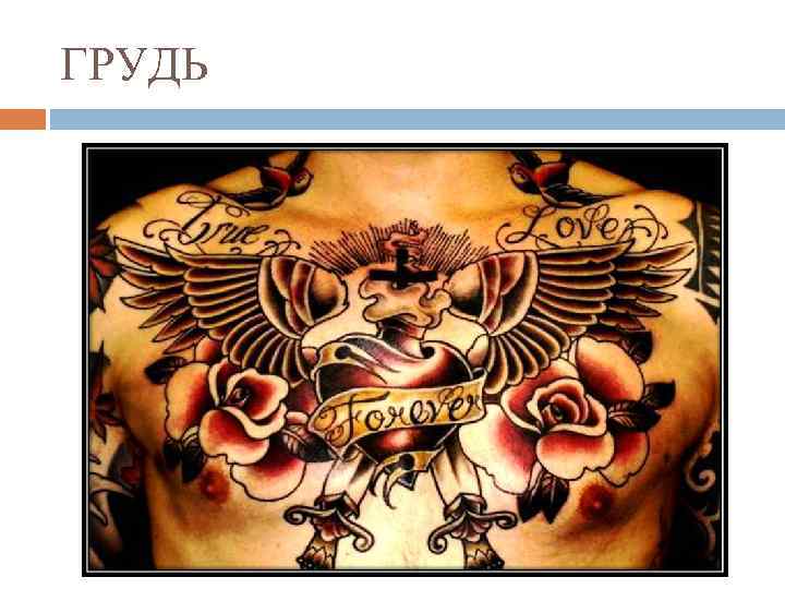 ГРУДЬ 