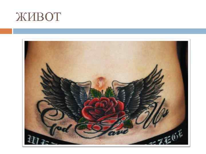 ЖИВОТ 