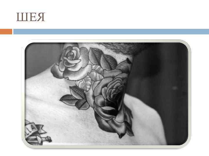 ШЕЯ 