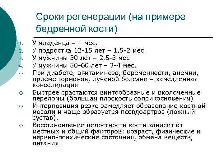 Сроки регенерации (на примере бедренной кости) 1. 2. 3. 4. ¡ ¡ У младенца