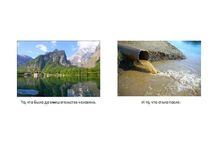 То, что было до вмешательства человека. И то, что стало после. 