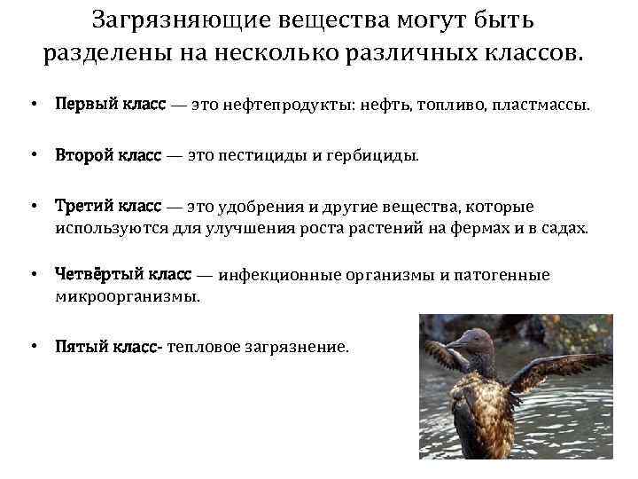 Загрязняющие вещества могут быть разделены на несколько различных классов. • Первый класс — это