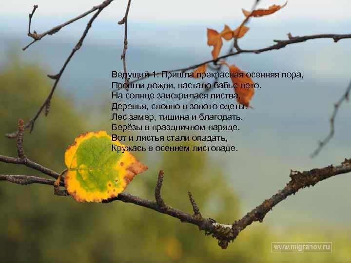 Ведущий 1: Пришла прекрасная осенняя пора, Прошли дожди, настало бабье лето. На солнце заискрилася