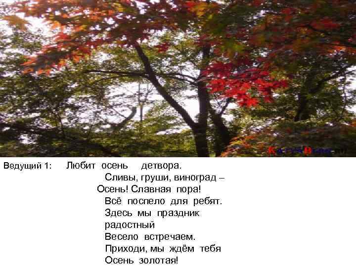 Ведущий 1: Любит осень детвора. Сливы, груши, виноград – Осень! Славная пора! Всё поспело