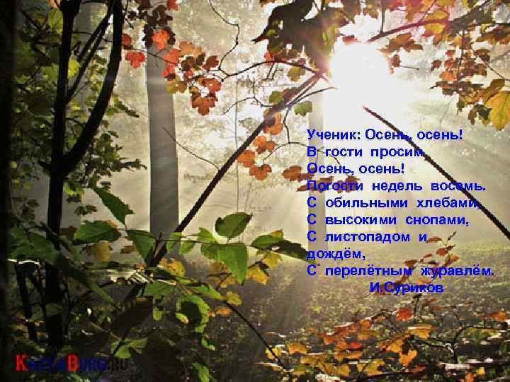 Ученик: Осень, осень! В гости просим Осень, осень! Погости недель восемь. С обильными хлебами,