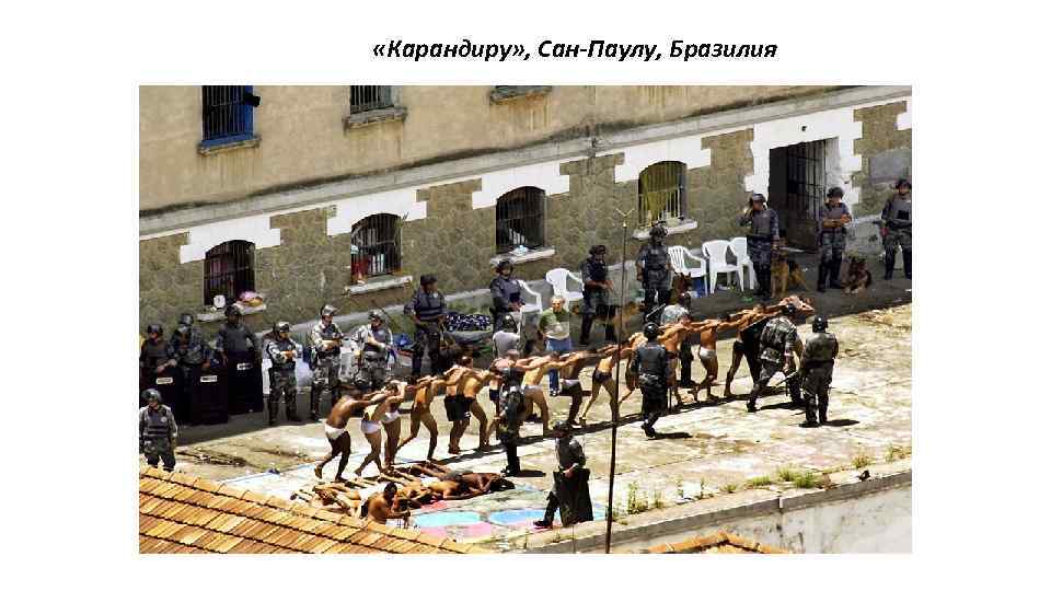  «Карандиру» , Сан-Паулу, Бразилия 